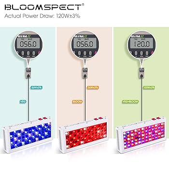 【動作品】 健康用品 brightlight me+ Zycom Light-Up Zipper Lumen RGB Scooter - Pink – Madd Gear