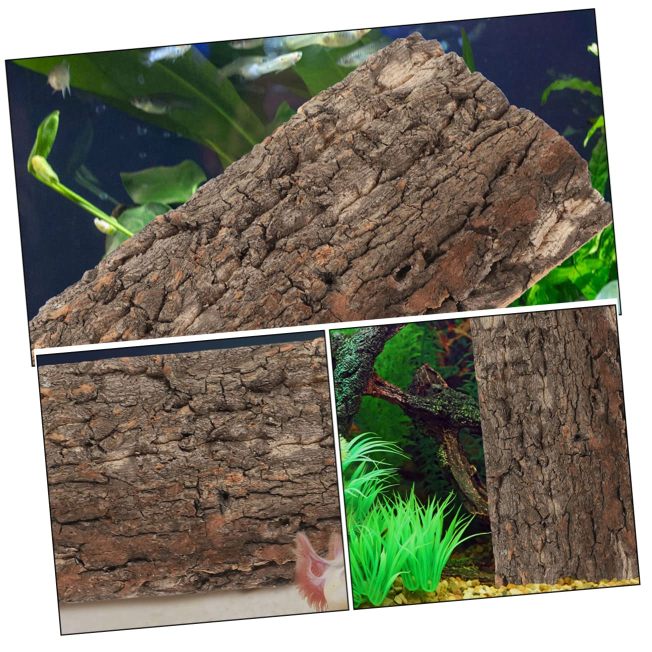 INOOMP 10piezas Fondo De Acuario Natural De Corteza Diseño Simulado para Decoración De Peceras y Terrarios Resistente y Reutilizable