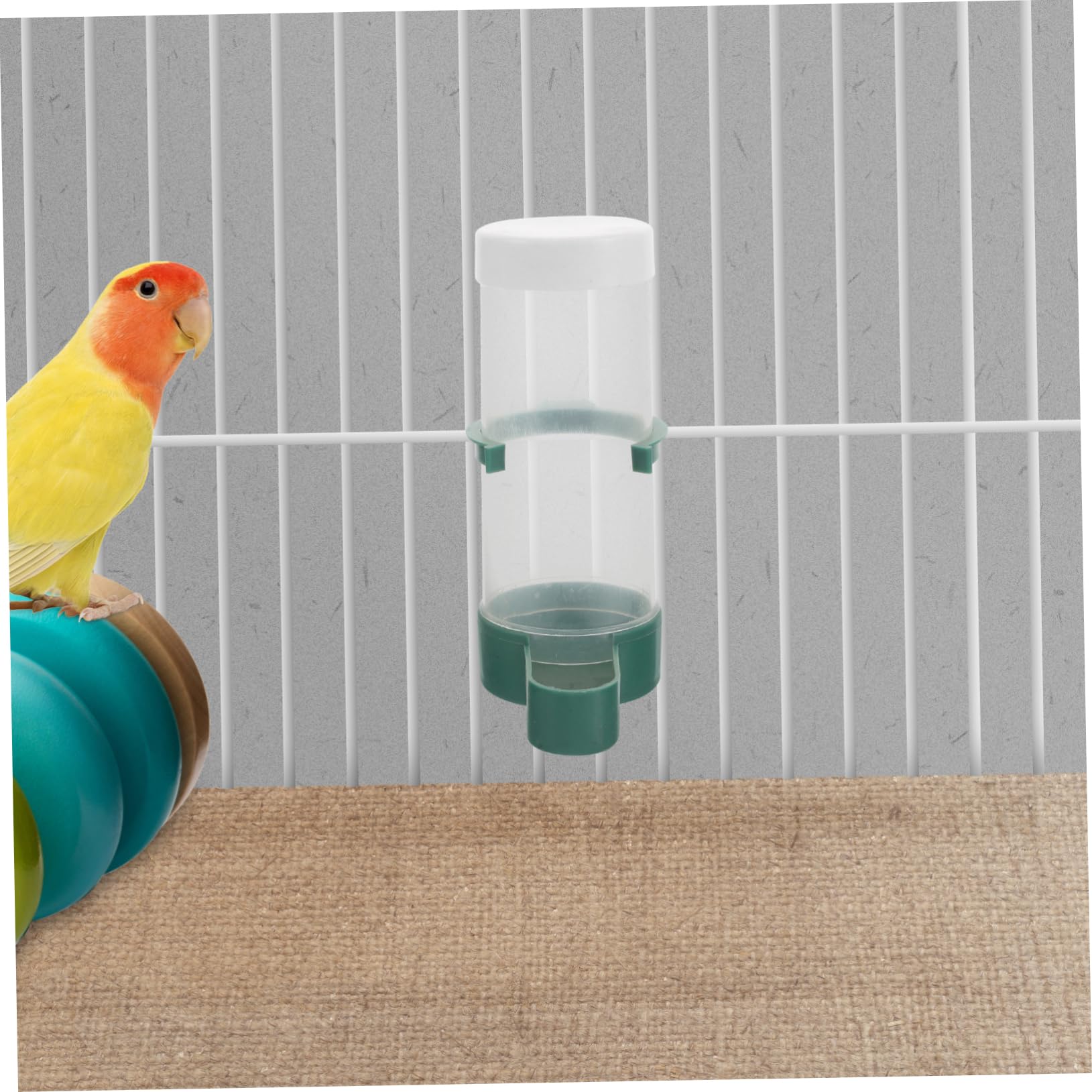 BESTonZON 20 Pièces Distributeur Automatique Aliments pour Oiseaux Accessoires de Nourriture pour Perroquets et Oiseaux de Cage Conçu pour Nutritionnel Optimal Utilisation Polyvalente