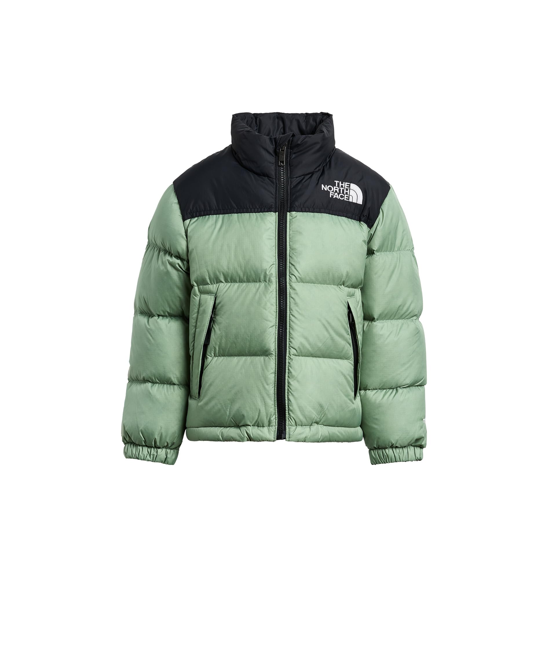 Kids 1996 Retro Nuptse Jacket (Little Kid/Big Kid)