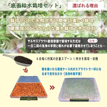 Amazon｜ブロッコリースプラウト種子200ml（栽培セット付き