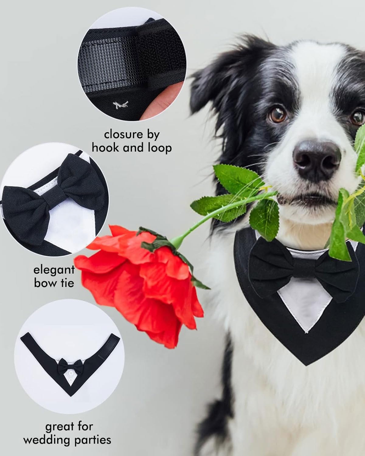 Papillon E Bandana Per Cane Taglia S - Sciarpa Triangolare Regolabile Per Occasioni Speciali - Foto 9