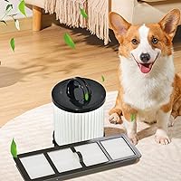 Vista 7 de SaferCCTV Filtro de escape EF6 HEPA de repuesto y filtro de taza de polvo al vacío DCF-21 reemplaza la pieza # 67821, 68931, 68931A, EF91 compatible