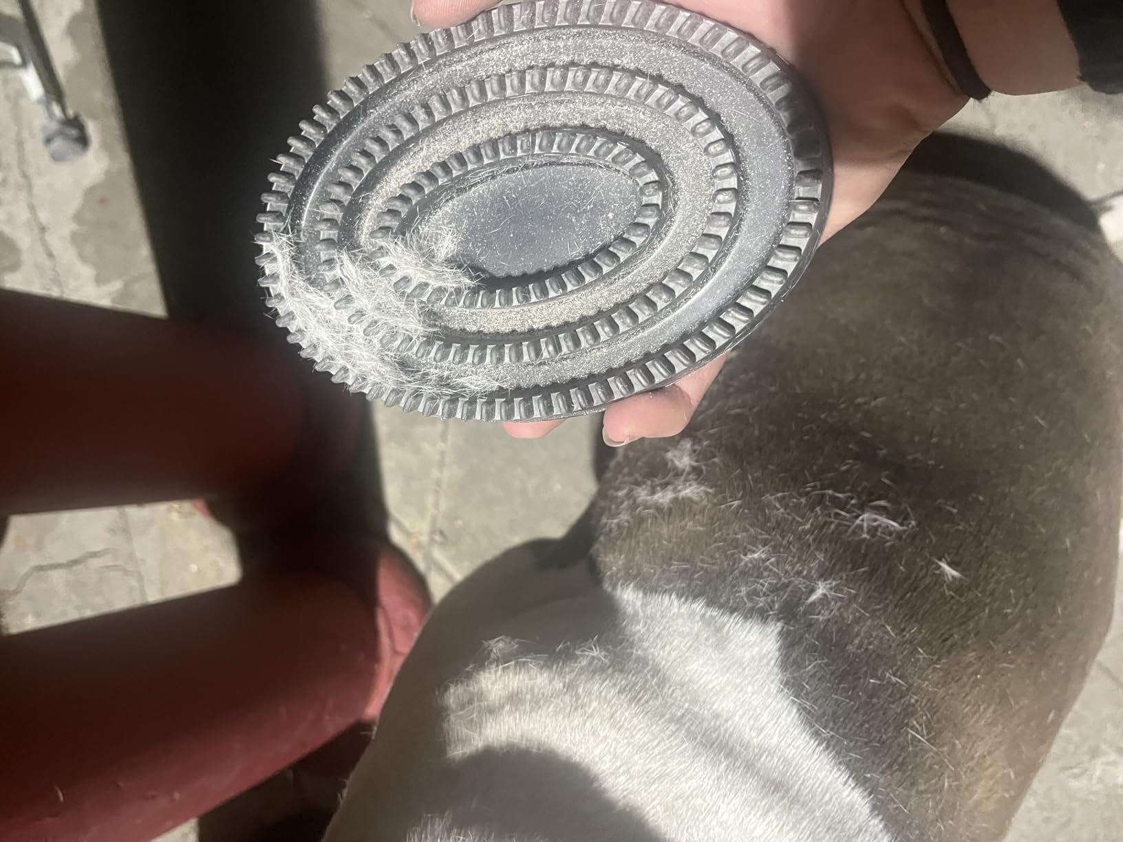Customer Image