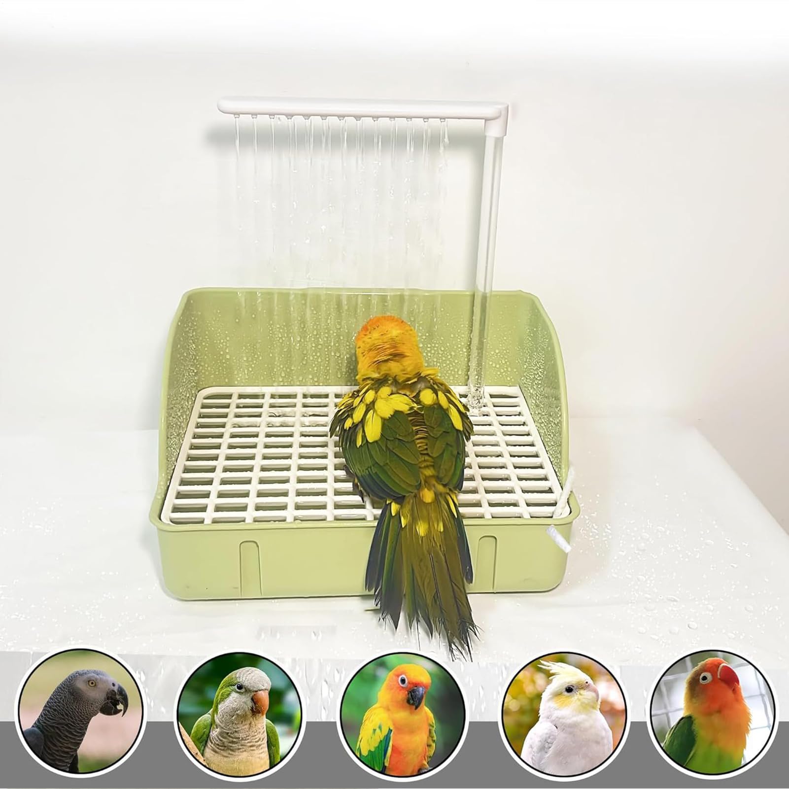 Generico Bañera automática para pájaros – Contenedor para baño de pájaros | con bomba | Accesorios jaula y contenedor para loros Conuri Periquitos Passeros Agaporni Calopsite Fringuelli