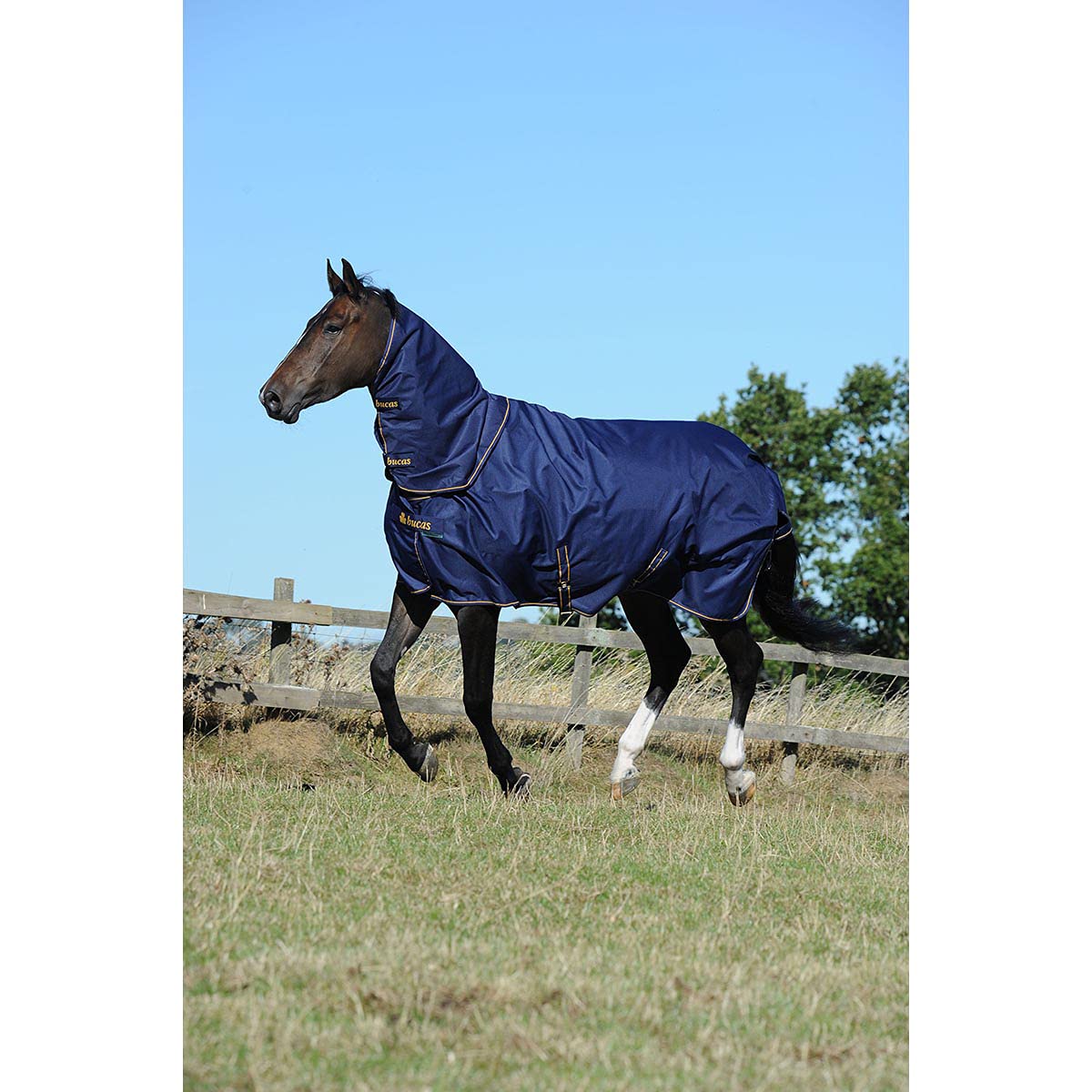 Bucas Irish Turnout Combi Neck 300g – Navy/Gold, Halsteil Für Pferdedecken