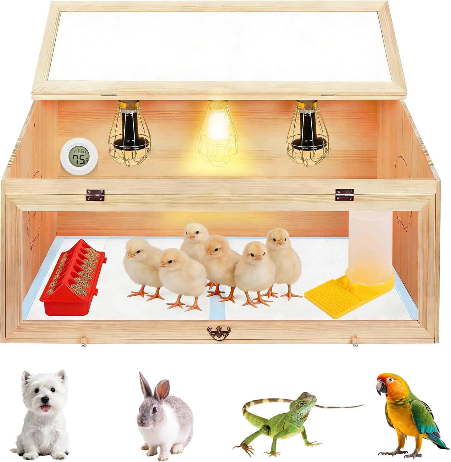 32” Large Chicken Brooder Box for Chick, Brooder Box with Heat Lamp & Thermostat for Chicks, Quail, Bunnies, Hamsters & Reptiles, Includes Feeder, Waterer & Liner