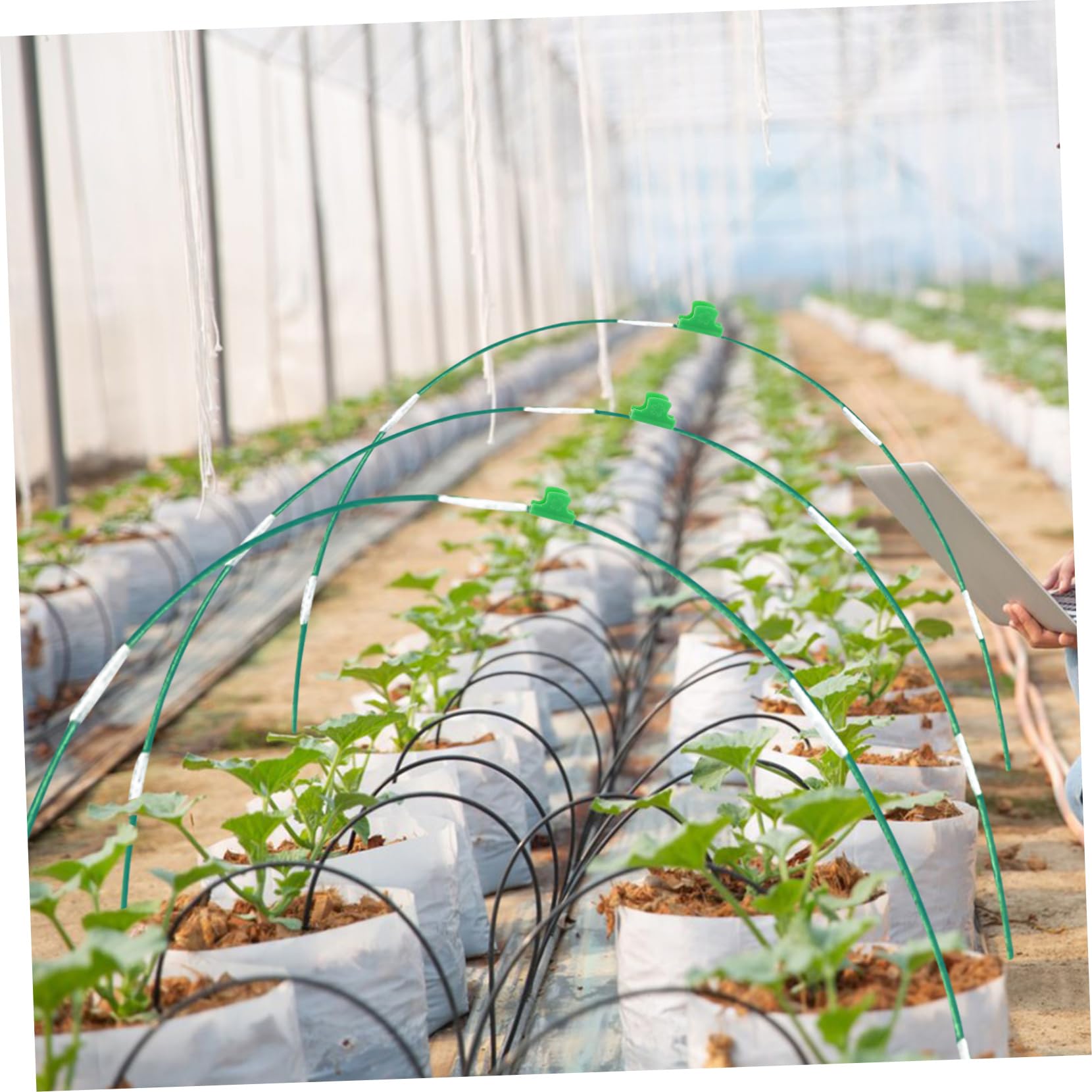 Kit de Red de Jardín Aros de Fibra de Vidrio y Hierro | Verde, Permite el Paso Luz, Instalación Sencilla, Diseño Adaptable, Protección para Flores y Cultivos