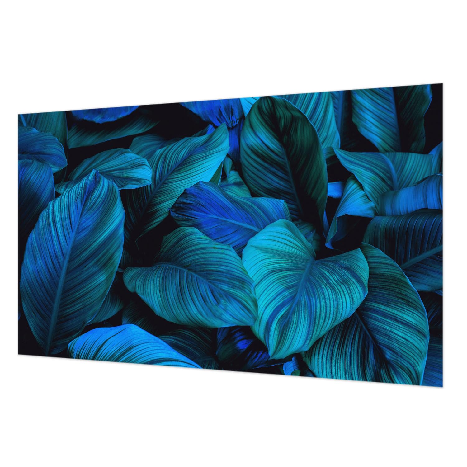 Papier peint intissé feuilles bleues 416x254 cm lavable pour relooker un mur facilement