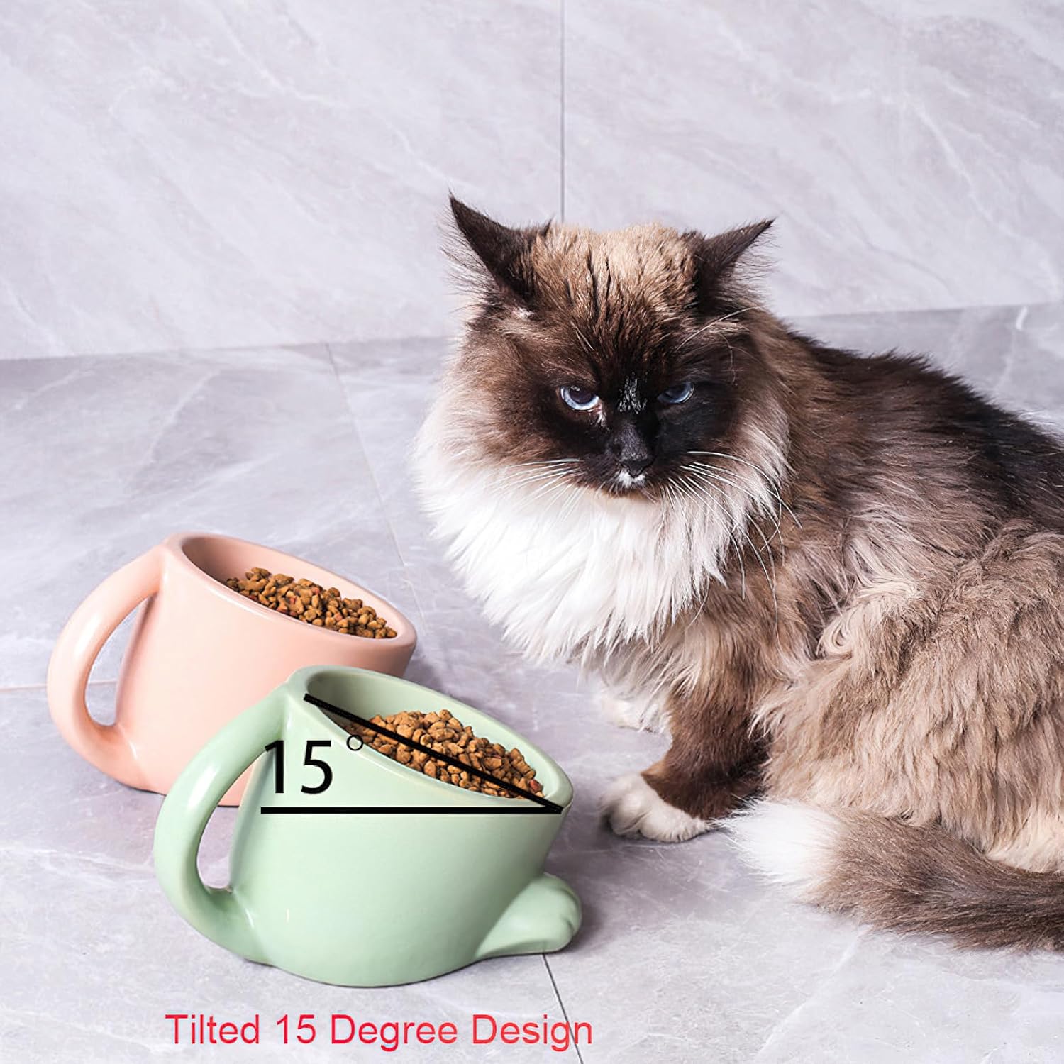 Raised Cat Bowls with Handle Tilted Cat Dish Ceramic Pet Food Water Bowl for Indoor Outdoor Kitten Small Dogs Puppy Light Green