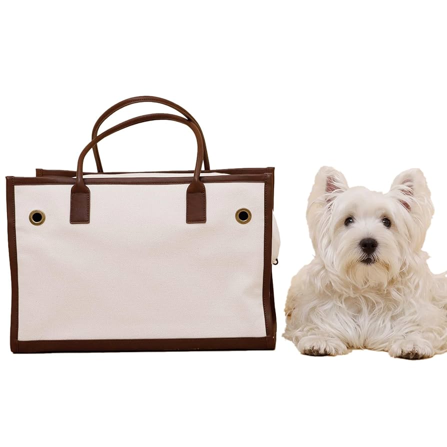 シティドッグ　Citydog パイピングトートキャリー　M ブラウン Amazon | [citydog/シティドッグ] パイピング トート キャリー M