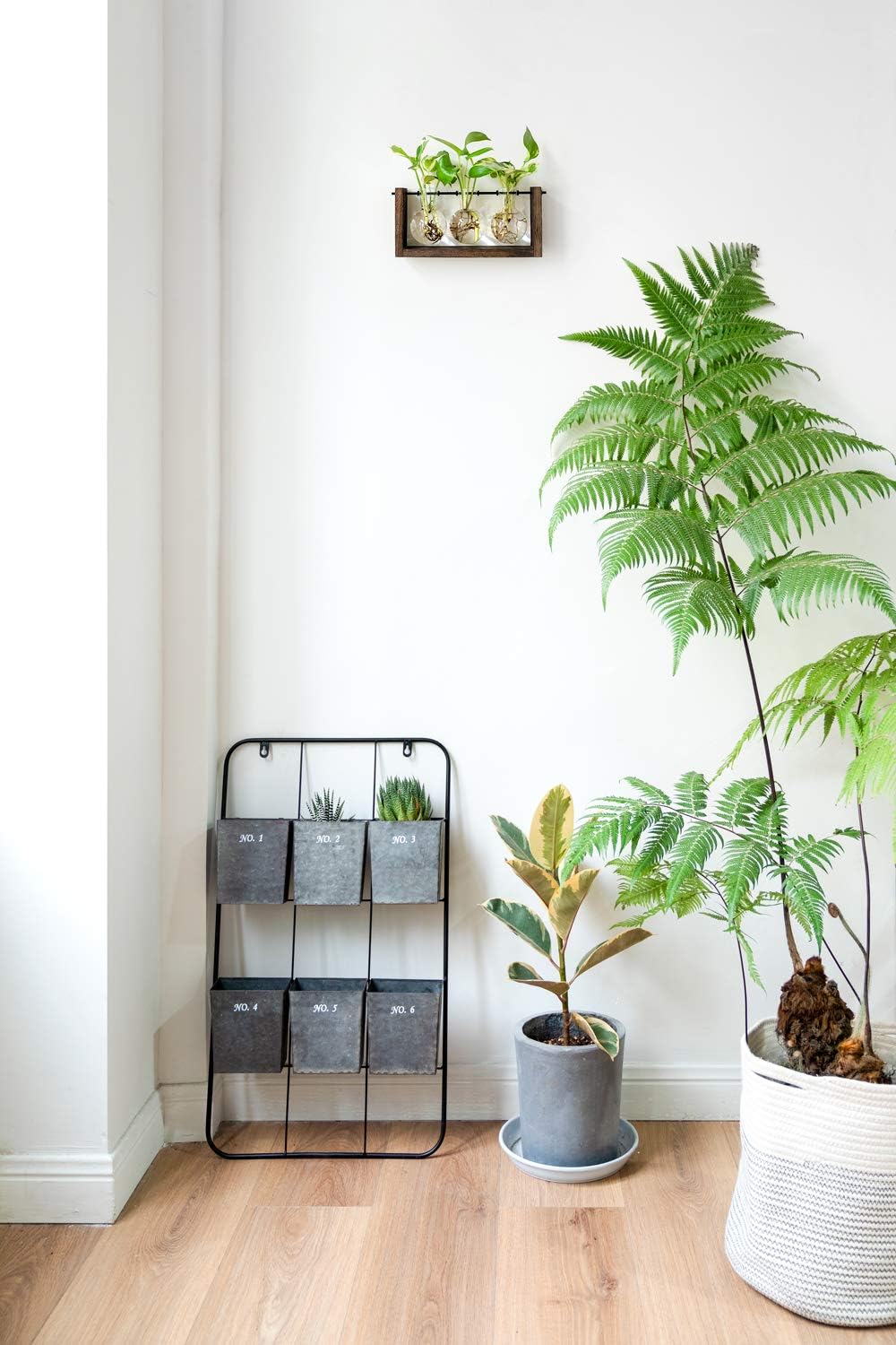 Mkono Plant Propagation Station with Wooden Stand, Wall Hanging Glass Planter Tabletop Terrarium Bulb Vase for Hydroponics Plants Home Office Decor