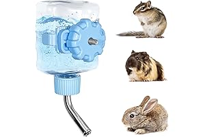Mini Pig Water Dispenser for Small Animals