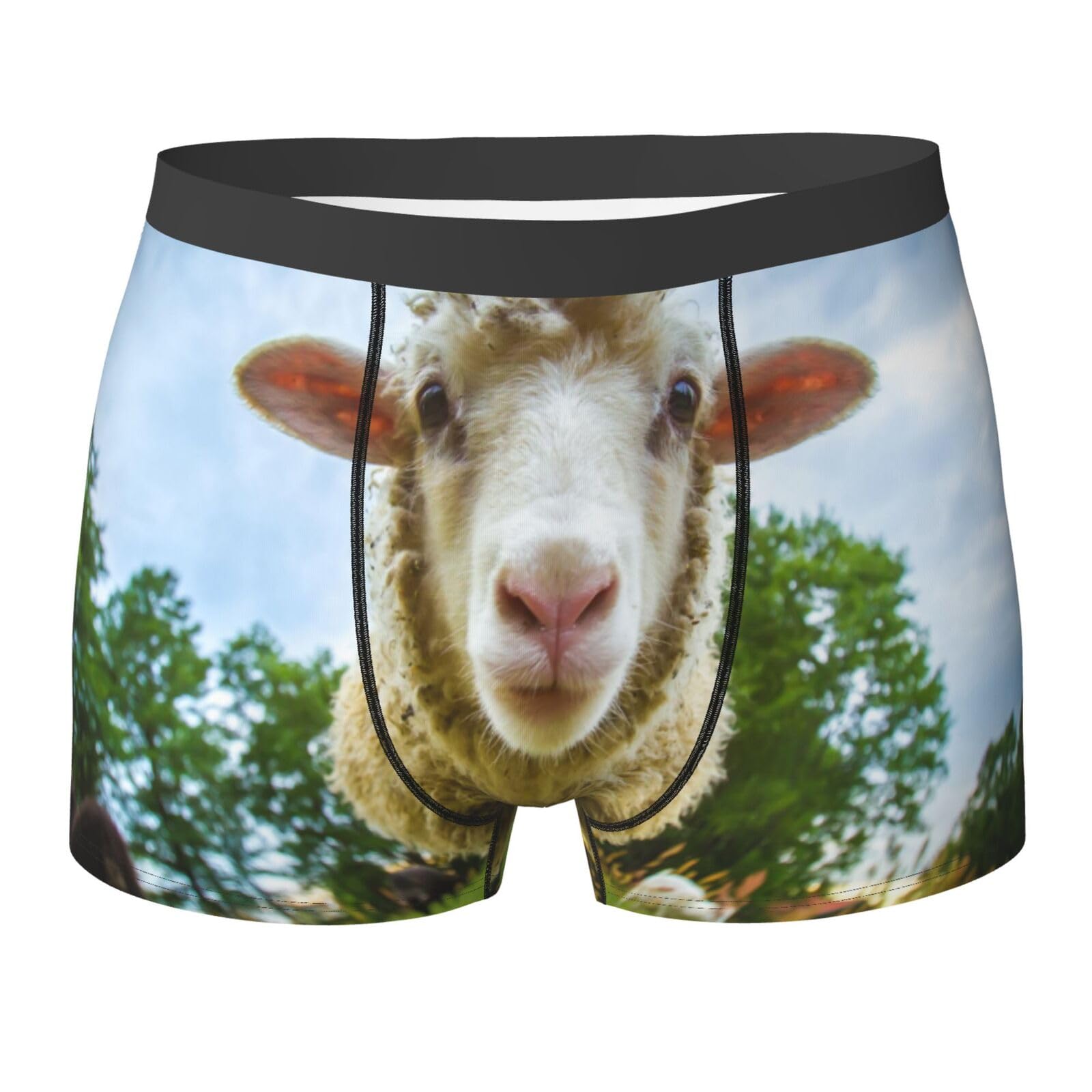 Aseelo Men's Sheep Looking Camera Boxer Shorts Boxer Briefs Comfortable Stretch Underwear Trunks Xl