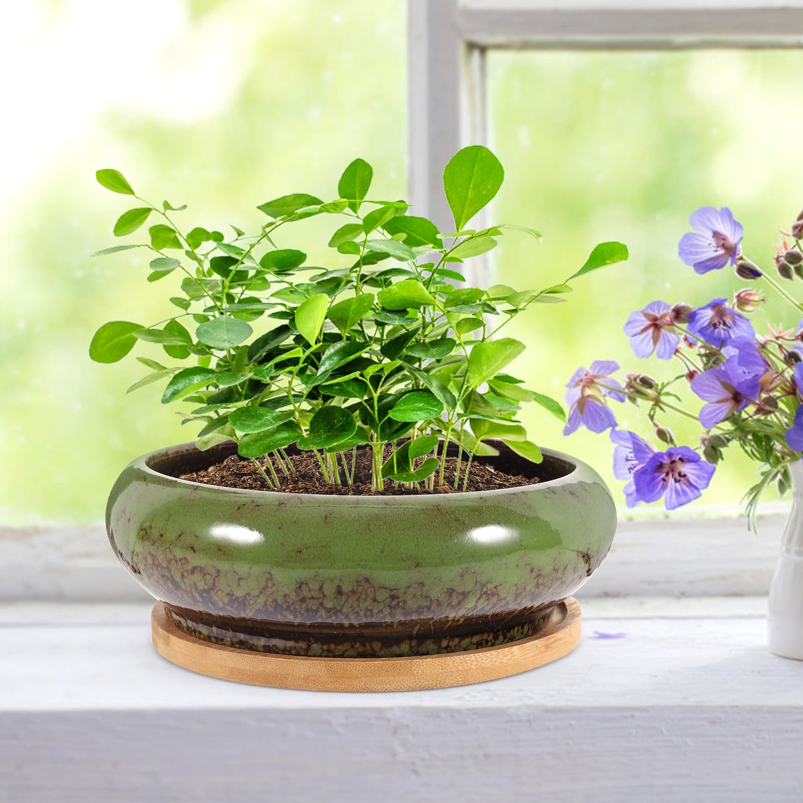 Mikinona 2 Ensembles Pot de Fleurs Succulentes en Soucoupe Bambou