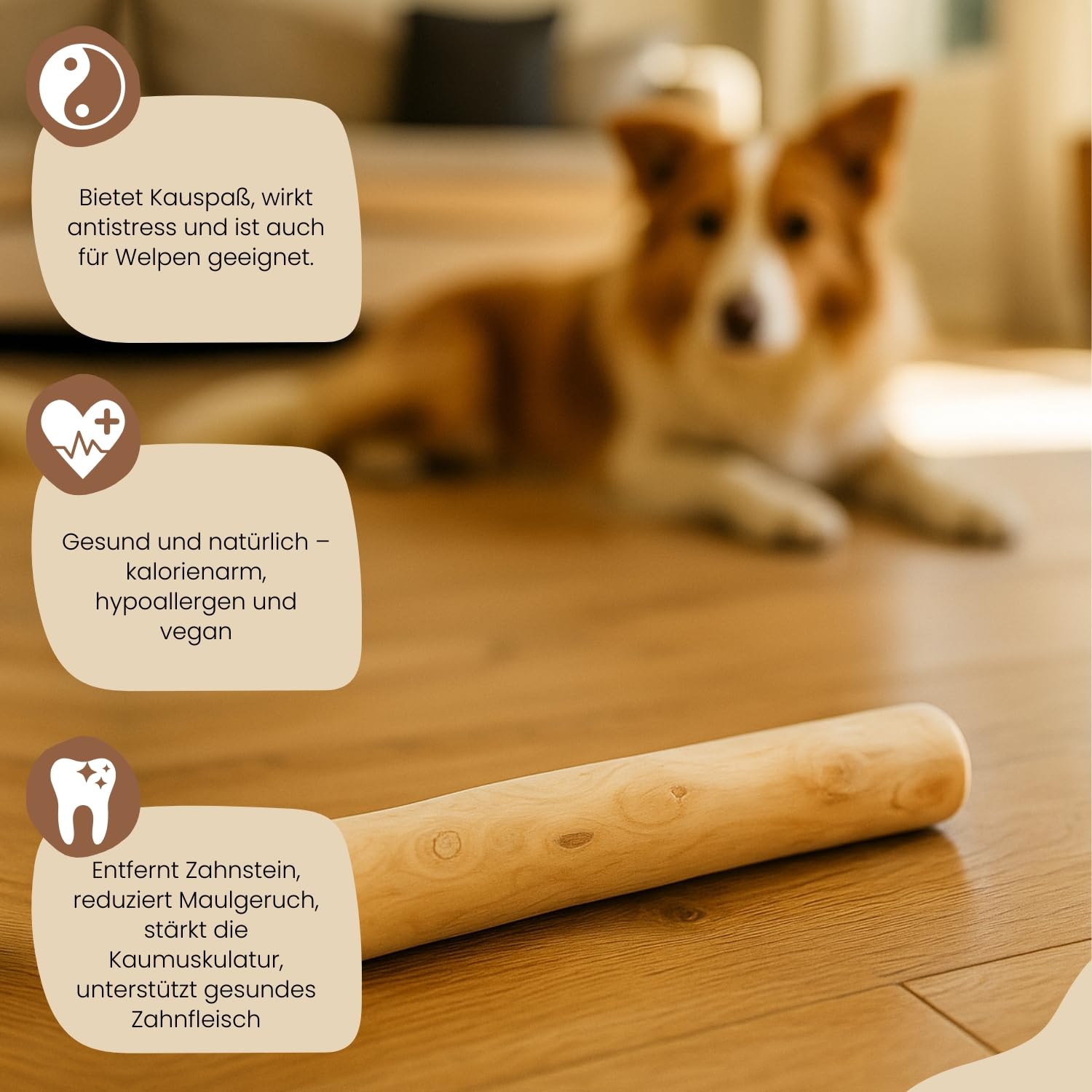 PetLove Drewno do kawy dla psów • drewno do żucia dla psa jako zabawka dla psa i pielęgnacja zębów • drewniane kości dla psa • bez kofeiny • rozmiar: XL - z oliwą z oliwek • dla dużych psów
