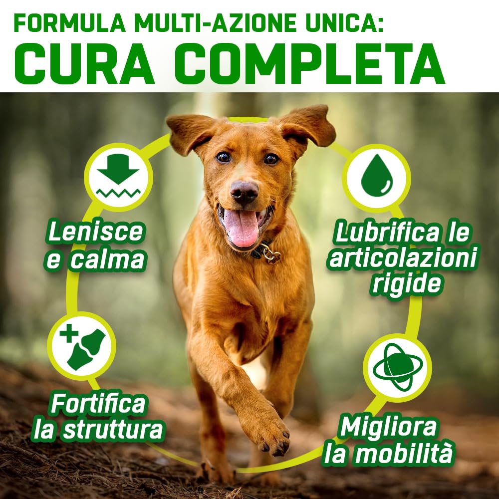 Hip + Joint Cani Articolazioni | 150 x Masticabili | con Cozza Verde, Glucosamina, Condroitina, Olio Canapa, MSM, Acido Ialuronico, Manganese | Integratore Articolazioni Cane Gusto Pollo