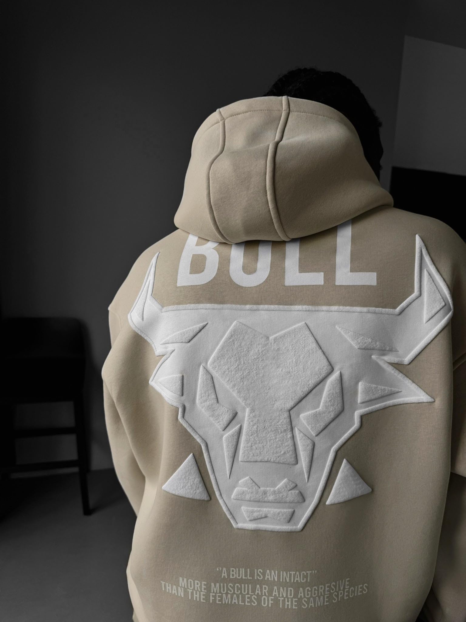 Felpa con cappuccio oversize Bull – Sabbia sbiancata
