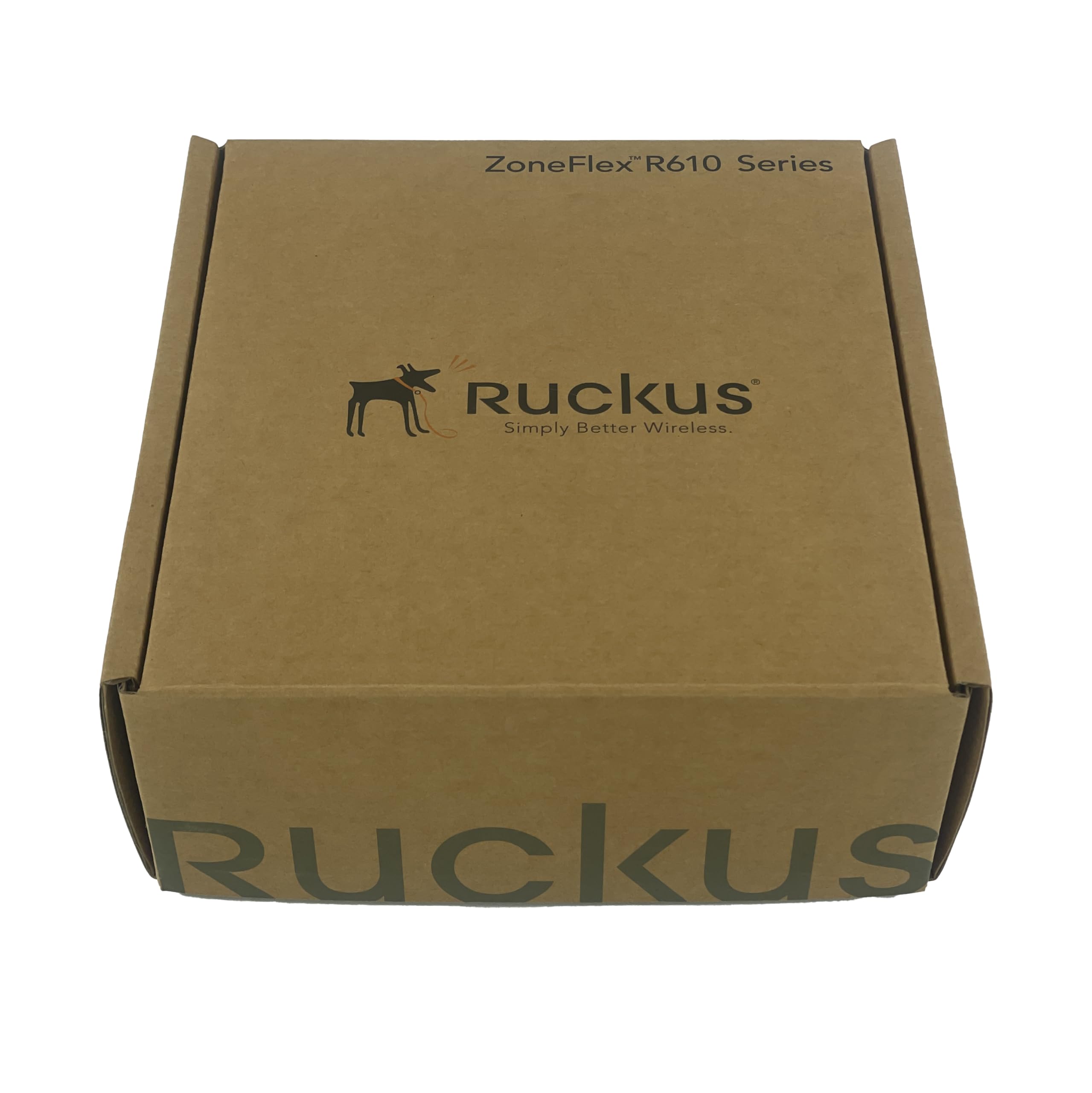 Ruckus 901-R610-US00