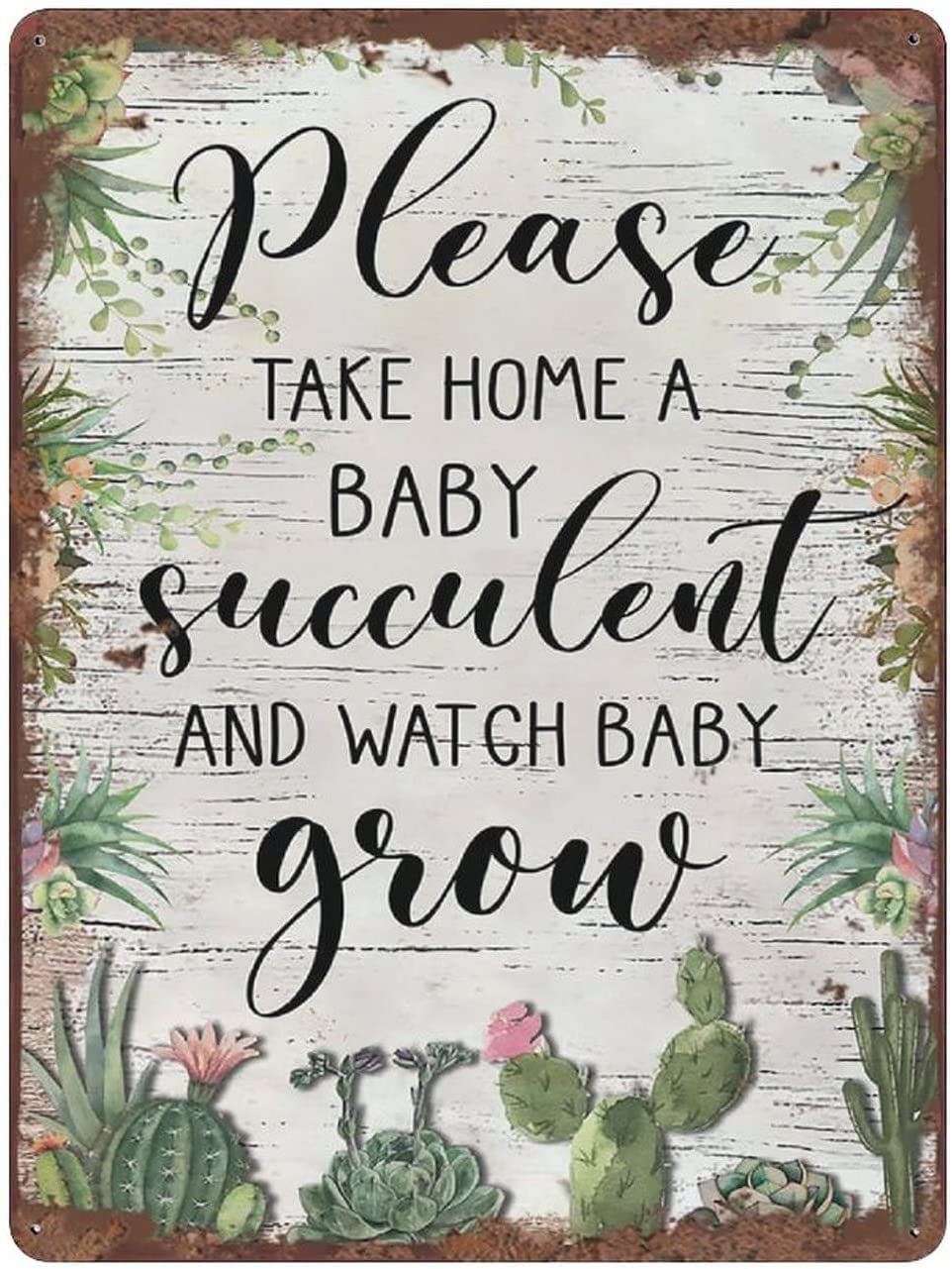 Please take Home a Baby Succulent Retro tin Sign Succulent Lover Gift Floral Wall Sign Plant Wall Art Garden Decor Farmhouse Decor Birthday Anniversary Housewarming Gift Womens Mens 12x16inch