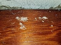 Review Image by EEK EEK