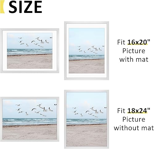 Vista 210 de Frametory, Los marcos de 16 x 20 pulgadas muestran imágenes de 11 x 14 pulgadas con paspartú o fotos de 16 x 20 pulgadas sin paspartú, vidrio Plata