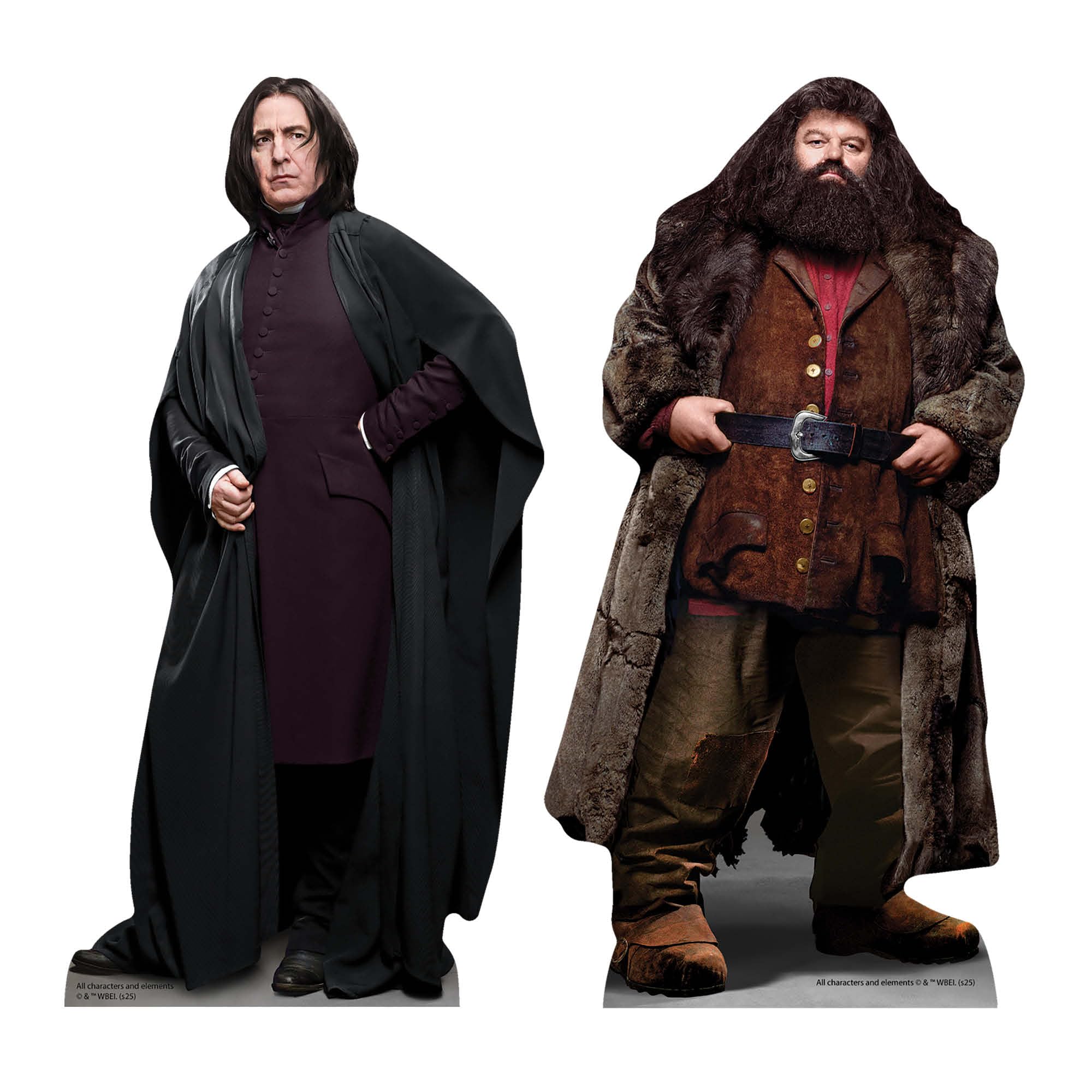 Star Cutouts SC4806 Snape & Hagrid Harry Potter Shelf Top Pack – Mini Cardboard Cutouts for Bedrooms, Displays & Collector Rooms – 31cm