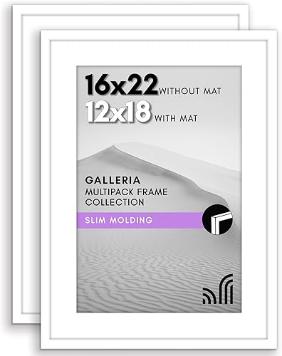 Vista 666 de Americanflat Portarretratos de 8 x 12 pulgadas con plexiglás pulido, juego de 2 portarretratos de 6 x 8 pulgadas con paspartú o para fotos de 8 x 12