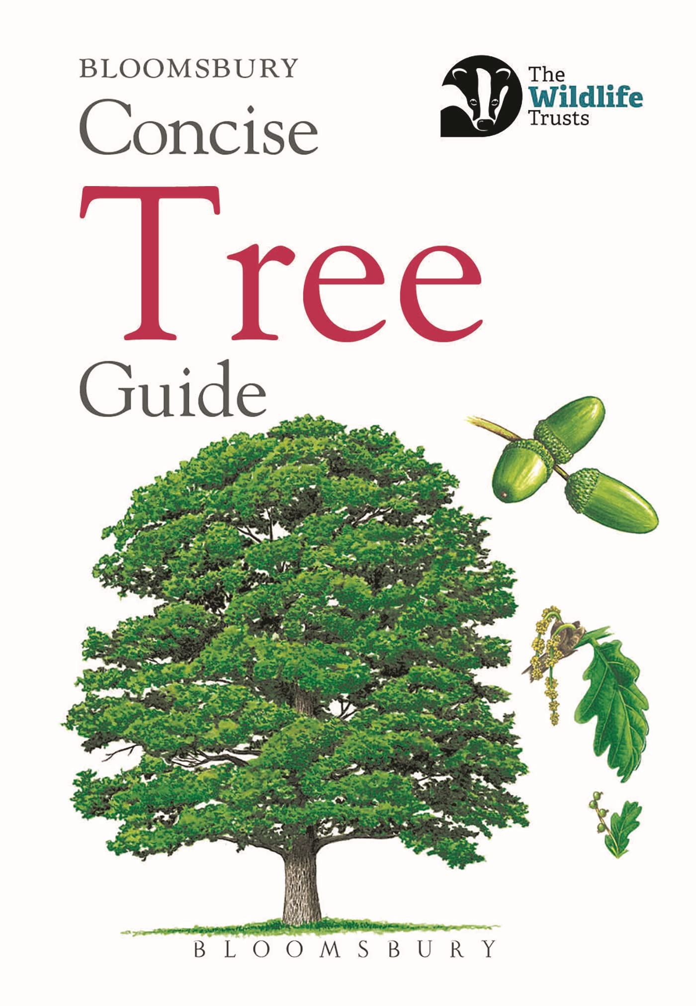 Concise Tree Guide (Concise Guides) By Bloomsbury. 9781472963796