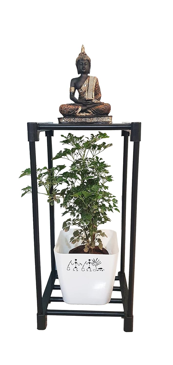 Keeva 2 Step Vertical Plant Stand Multiple Pot Stand Indoor/Outdoor