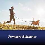Ver la foto 5