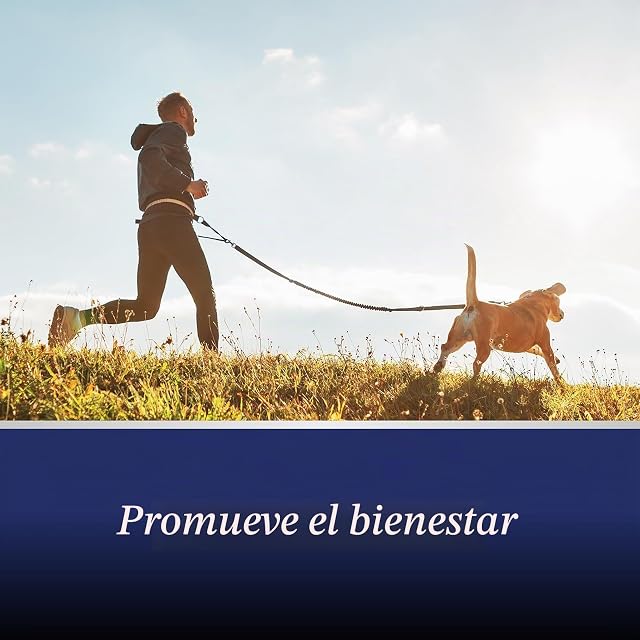 Foto 5 de 6 de Canosept comprimidos para las articulaciones para perros - Condroprotector perros