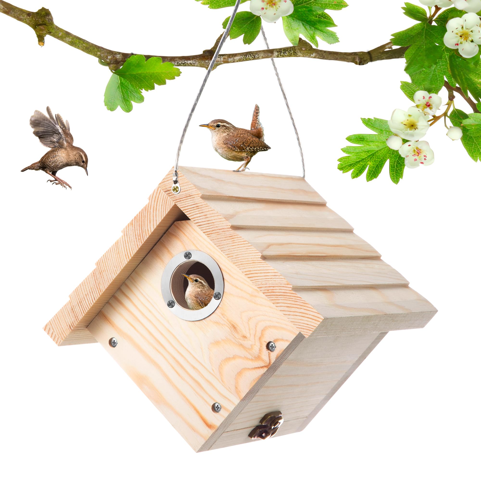 Nichoir en cèdre Dreyoo avec trou de 3,8 cm pour mésanges