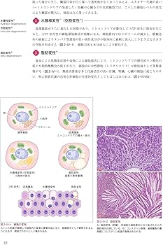 歯学生のための基礎病理学 医歯薬出版 歯学生のための基礎病理学 | 髙田 隆, 豊澤 悟, 田沼 順一, 岡田