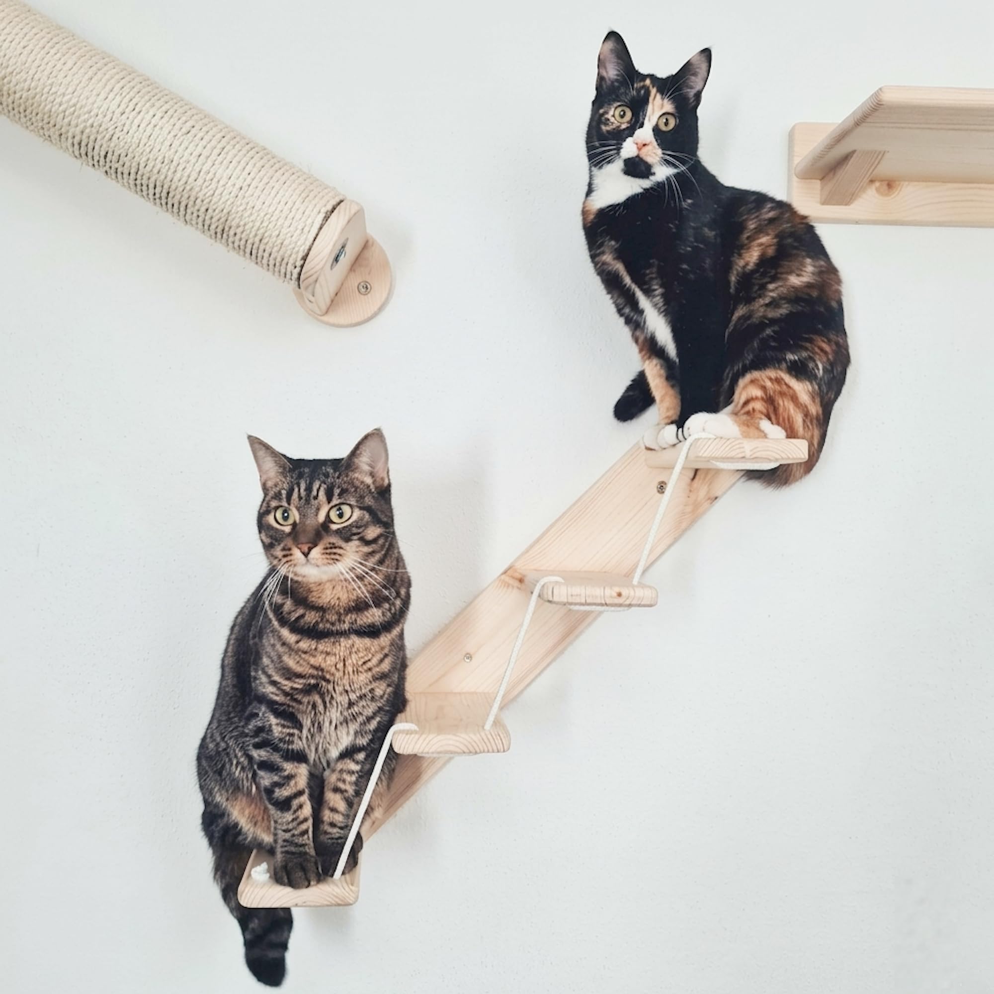 Scaletta per Gatti da Parete in Legno d'Abete Artigianale, Scala 4 Gradini Destra, per Giocare e Arrampicata per gatti con Resistenza Fino a 20 kg - Percorsipergatti