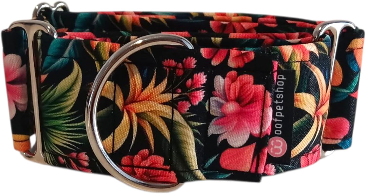 Woofpetshop® Martingale Collar, Collar for Small, Medium, Large, Ideal Greyhound and Podenco Dog Collar (4 cm - Size M (40~50 cm), Fantasy)