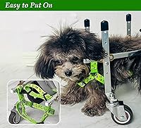 Vista 7 de Silla de ruedas para perro, con 4 ruedas, soporte completo para piernas, silla de ruedas ajustable para perros pequeños, medianos y grandes, soporte