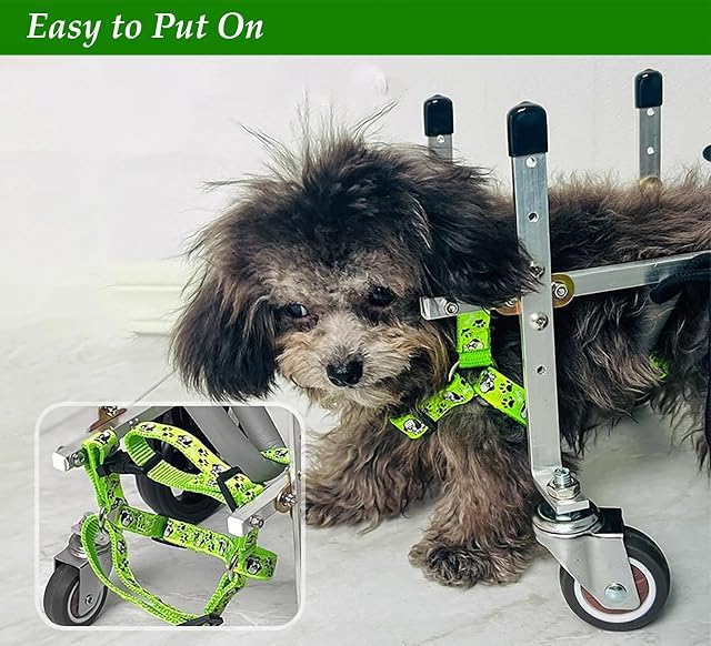 Foto 8 de 8 de Silla Ruedas Perro Silla de Ruedas para Perros Ajustable para Patas Delanteras y Traseras