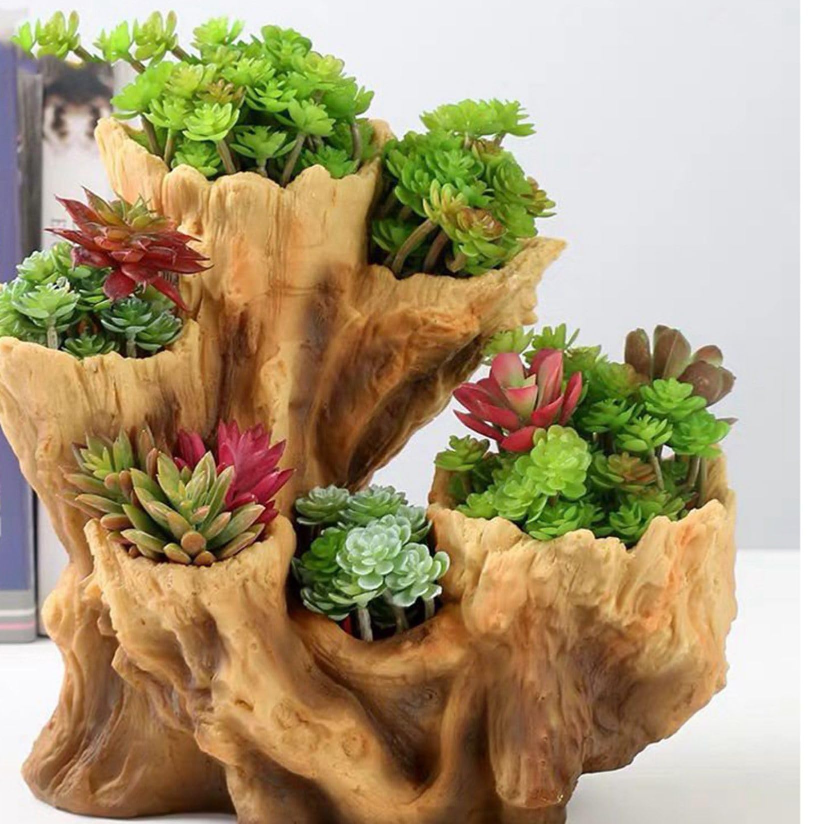 Amazon.co.jp: 多肉植物鉢 サボテン鉢 植木鉢 ガーデンオーナメント