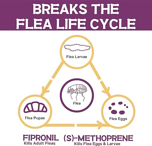 Miniatura 4 de Prevención de pulgas y garrapatas para gatos, tratamiento de pulgas y garrapatas para gatos gatitos, control de pulgas y garrapatas, más de 1.5