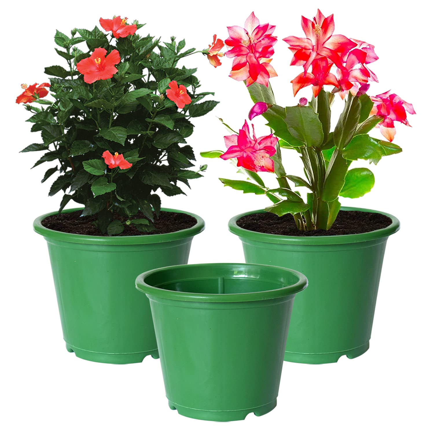 Kuber Industries Durable Plastic Flower Pot|Gamla with Drain Holes for Indoor Home Decor & Outdoor Balcony,Garden,6"x5",Pack of 3 (Green) (B0B68T15N1) Amazon Price History, Amazon Price Tracker