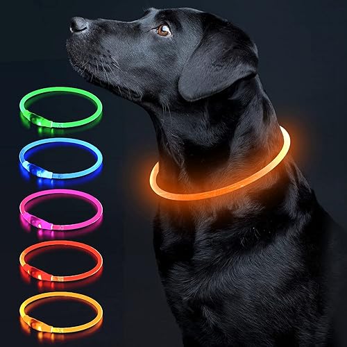 Colaseeme Collar de perro con luz LED, 1 unidad recargable por USB, TPU brillante, collares básicos de seguridad para perros grandes, medianos y Colaseeme Collar de perro con luz LED, 1 unidad recargable por USB, TPU brillante, collares básicos de seguridad para perros grandes, medianos y