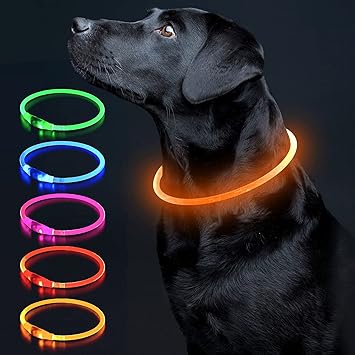 Amazon 犬光る首輪 視認距離500mで夜間も安心 犬 猫 光る 首輪 ライト 夜 散歩usb 充電式 小型犬 中型犬 大型犬 サイズ調節可能 オレンジ Colaseeme ベーシック首輪 通販