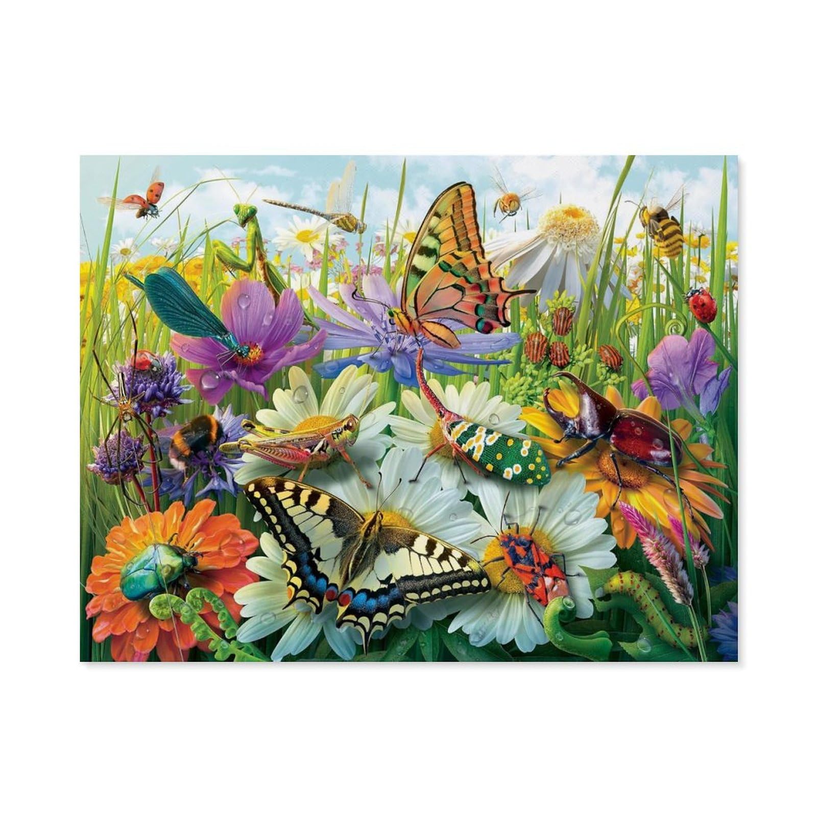 GSBRSNTS DIY Paint by Numbers for Adults Canvas,Wonderful World of Insects - Insects,DIY Oil Painting, Pictures Drawing Paintwork with Paintbrushes Decoration Gift(40x50cm-B27