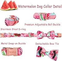 Vista 2 de Unique style paws Collar de perro Bowtie Collar de sandía de algodón Collar de verano ajustable para perros pequeños, medianos y grandes - S