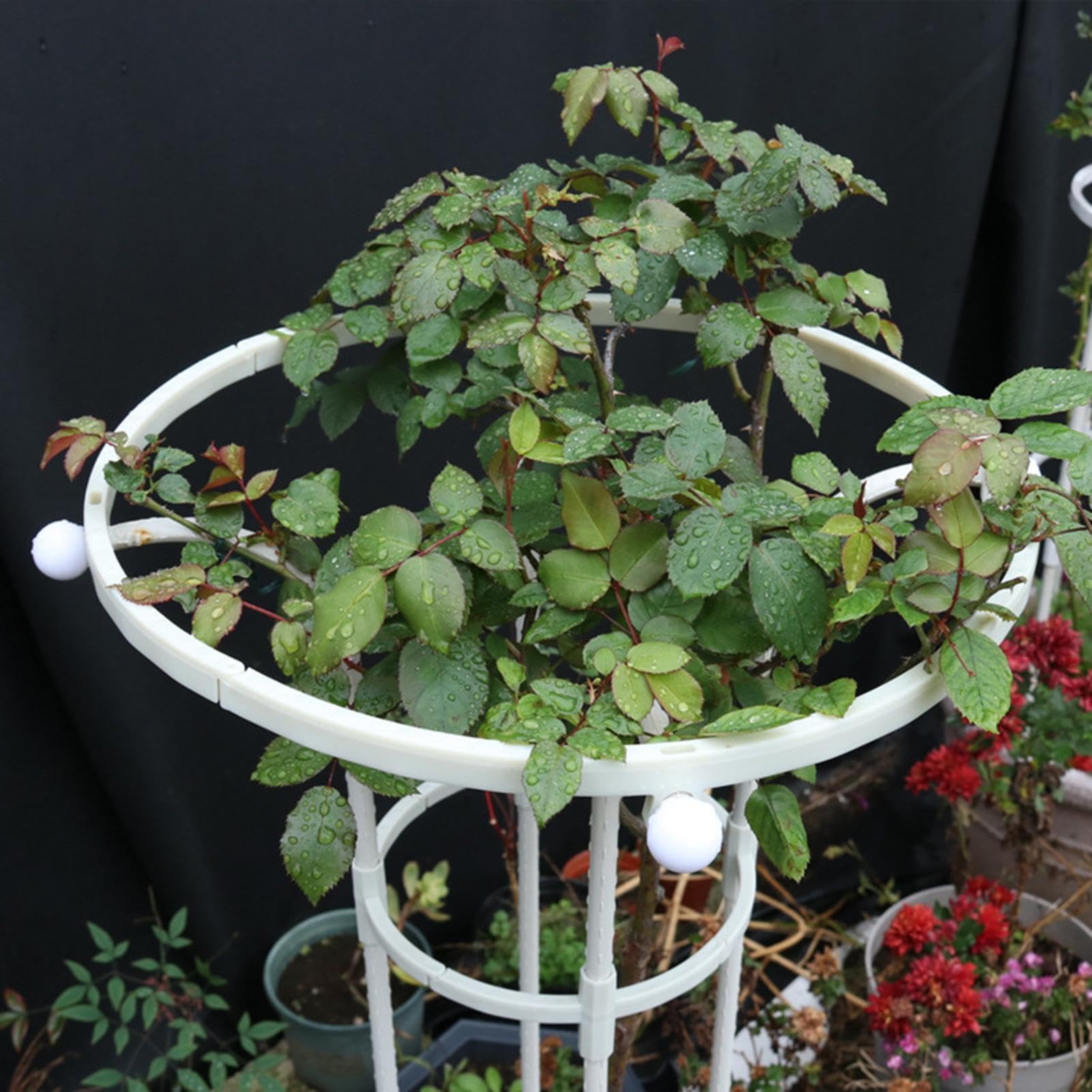 Treillis obélisque de jardin pour grimpantes, tuyau en métal antirouille