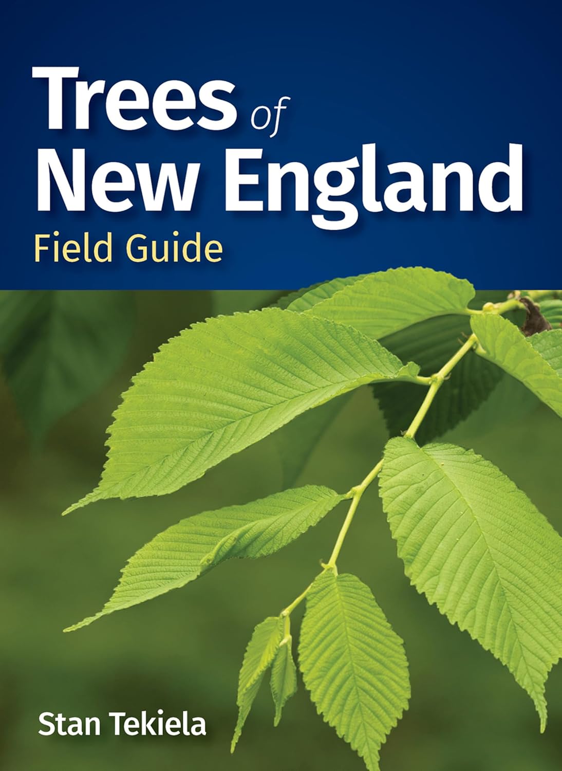 Buy Trees of New England Field Guide (Tree Identification Guides) Book