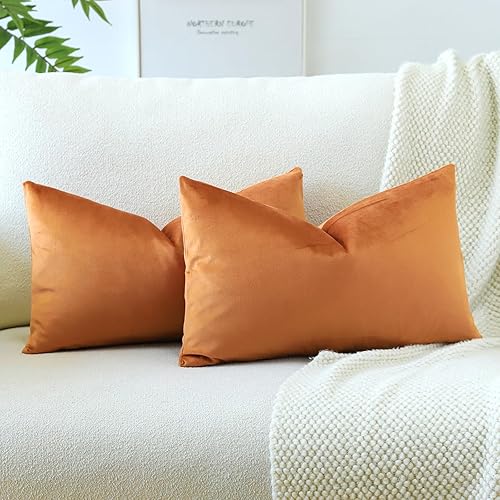 OTOSTAR Paquete de 2 fundas de almohada decorativas de terciopelo suave y sólido de 16 x 24 pulgadas, fundas de almohada lumbares, fundas de