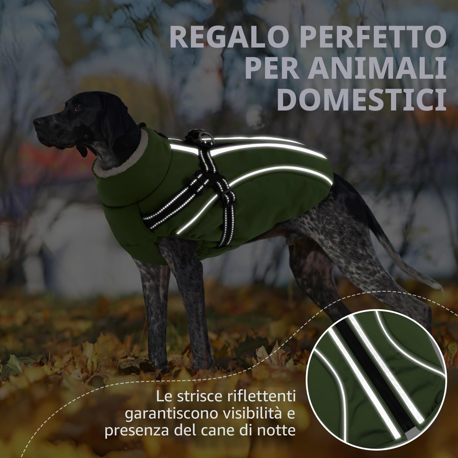 CITÉTOILE Cappotto Invernale per Cani Impermeabile - Giacca Termica Antivento con Foro Riflettente e Anello D, Adatto a Taglie Piccole/Medie/Grandi, Verde, XXL