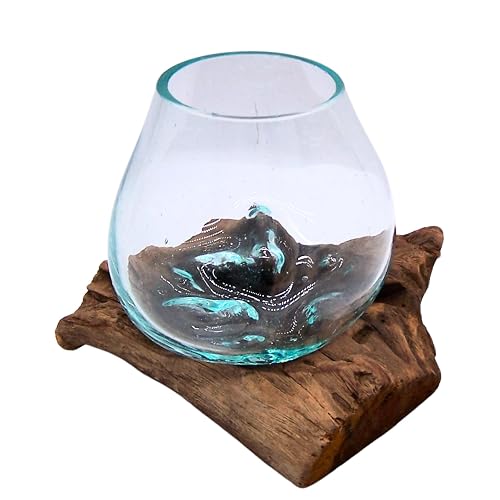 Wowser Small Glass Bowl on Driftwood Figurine, Freestanding Nautical Décor,